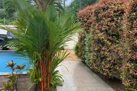 Недвижимость в Раваи, Таиланд 300м2  № 135145 - фото 2