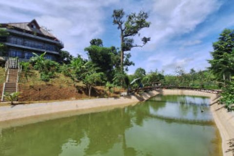 Chalet de 4 dormitorios en Khok Kloi, Tailandia № 233466 - foto 6