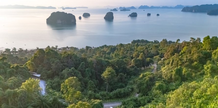 Земельный участок в Краби, Таиланд 15144м2 № 153761