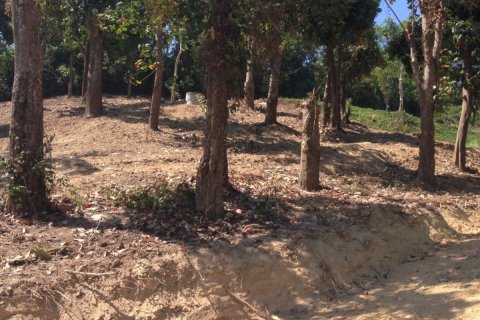 Land in Wichit, Thailand 5284 sq.m. № 153780 - photo 9