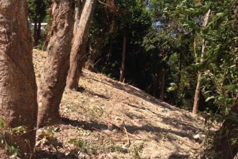 Land in Wichit, Thailand 5284 sq.m. № 153780 - photo 11