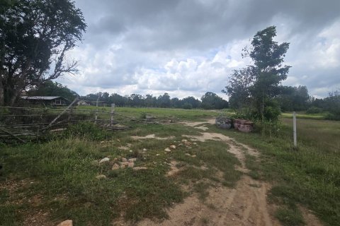 Land in Hua Hin, Thailand 14340 sq.m. № 147597 - photo 6