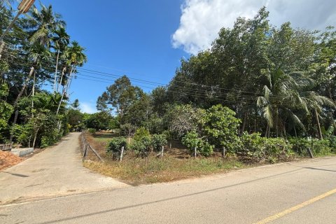 Земельный участок в Пхукете, Таиланд 1771м2  № 157322 - фото 2