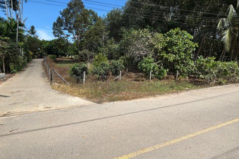 Земельный участок в Пхукете, Таиланд 1771м2  № 157322 - фото 4