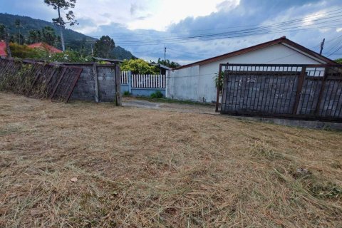 Land in Ko Samui, Thailand 2364 sq.m. № 147430 - photo 6