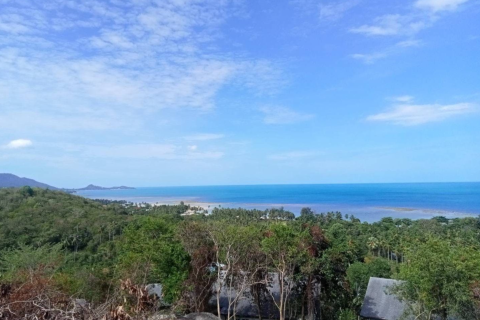 Земельный участок в Самуи, Таиланд 3760м2  № 147854 - фото 2