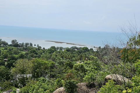 Земельный участок в Самуи, Таиланд 3760м2  № 147854 - фото 8