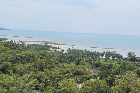 Земельный участок в Самуи, Таиланд 3760м2  № 147854 - фото 5