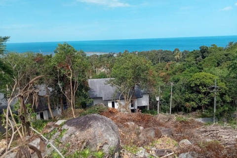 Земельный участок в Самуи, Таиланд 3760м2  № 147854 - фото 3