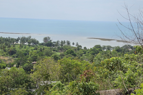 Земельный участок в Самуи, Таиланд 3760м2  № 147854 - фото 6