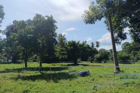 Земельный участок в Самуи, Таиланд  № 155465 - фото 5