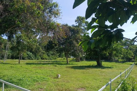 Земельный участок в Самуи, Таиланд  № 155465 - фото 4