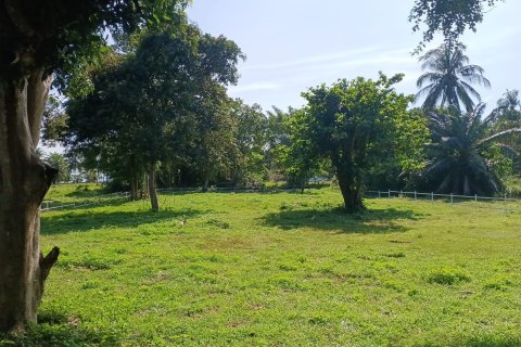 Земельный участок в Самуи, Таиланд  № 155465 - фото 3