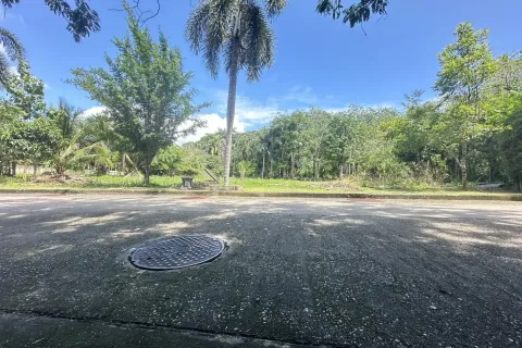 Terrain à Pa Klok, Thaïlande 837.2 m2 № 161239 - photo 13