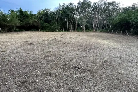 Terrain à Pa Klok, Thaïlande 837.2 m2 № 161239 - photo 5