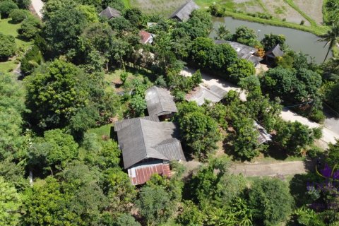 Land in Mae Rim, Thailand № 205627 - photo 3