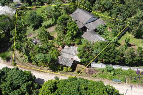 Land in Mae Rim, Thailand № 205627 - photo 5