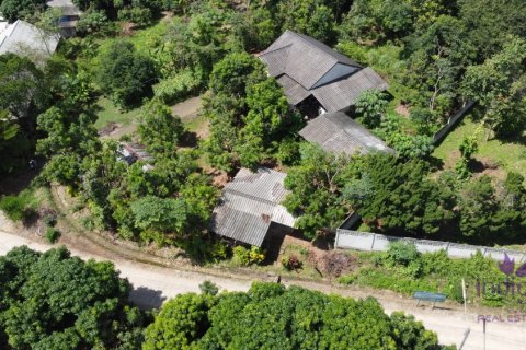 Land in Mae Rim, Thailand № 205627