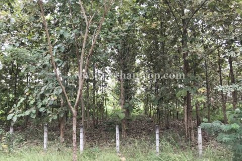 Terrain à Lampang, Thaïlande 10776 m2 № 155152 - photo 11