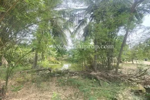 Land in Tha Maka, Thailand 5244 sq.m. № 155148 - photo 14