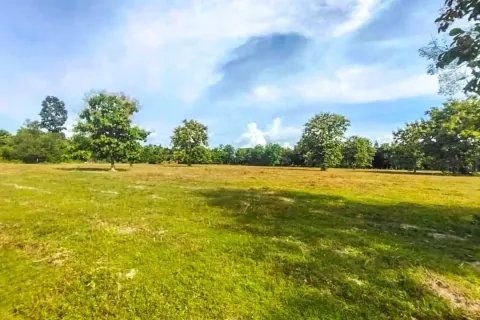 Terrain à Chiang Mai, Thaïlande № 162776 - photo 8