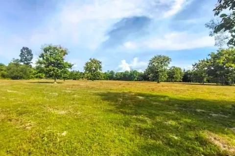 Земельный участок в Чиангмае, Таиланд  № 162776 - фото 8