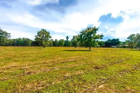 Land in Chiang Mai, Thailand № 162776 - photo 6