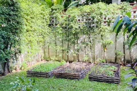 Reihenhaus in Watthana, Bangkok, Thailand 3 Schlafzimmer № 214789 - Foto 6