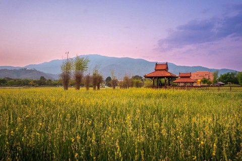 Дом в Чиангмае, Таиланд с 4 спальнями № 172576 - фото 7