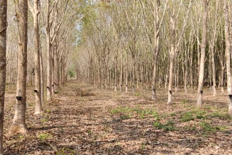 House in Klaeng, Thailand 3 bedrooms № 163439 - photo 7