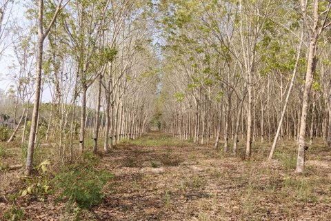 House in Klaeng, Thailand 3 bedrooms № 163439 - photo 4