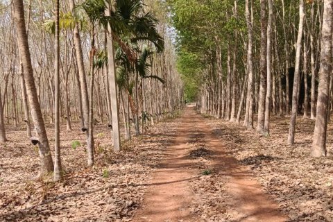 House in Klaeng, Thailand 3 bedrooms № 163439 - photo 5