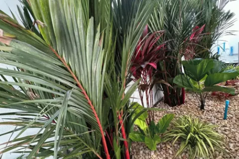 Villa on Nai Harn Beach, Thailand 4 bedrooms № 116515 - photo 28