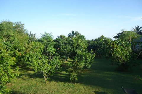 Земельный участок в Хуа Хине, Таиланд 1794м2  № 155886 - фото 12