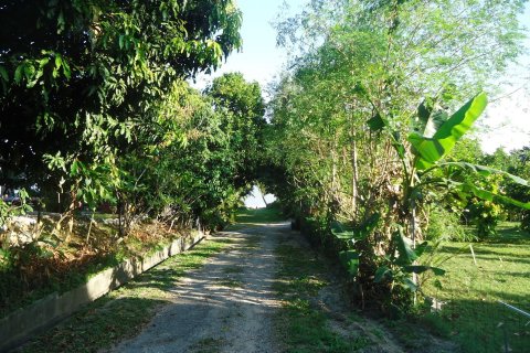 Земельный участок в Хуа Хине, Таиланд 1794м2  № 155886 - фото 11