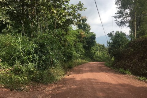 Terrain à Nan, Thaïlande 124800 m2 № 172007 - photo 8