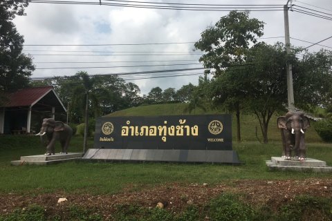 Terrain à Nan, Thaïlande 124800 m2 № 172007 - photo 6