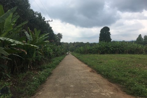 Terrain à Nan, Thaïlande 124800 m2 № 172007 - photo 7