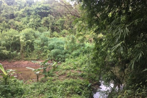 Terrain à Nan, Thaïlande 124800 m2 № 172007 - photo 12