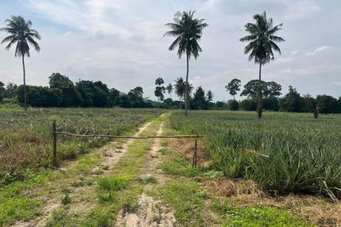 Land in Cha-am, Thailand 31188 sq.m. № 172005 - photo 3
