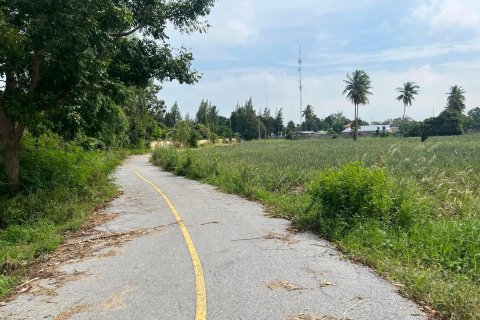 Land in Cha-am, Thailand 31188 sq.m. № 172005 - photo 4