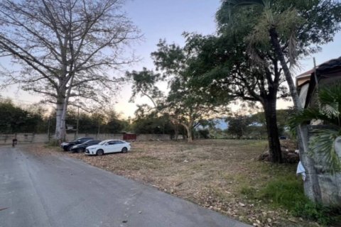 Земельный участок в Чиангмае, Таиланд  № 172822 - фото 6