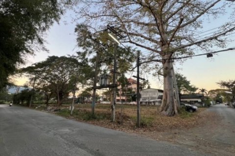 Земельный участок в Чиангмае, Таиланд  № 172822