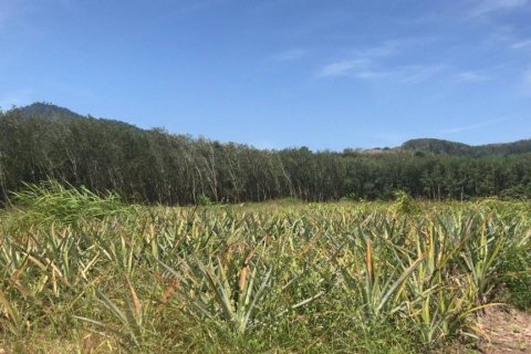 Terrain à Rayong, Thaïlande № 172825 - photo 2