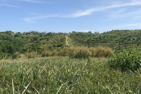 Terrain à Rayong, Thaïlande № 172825