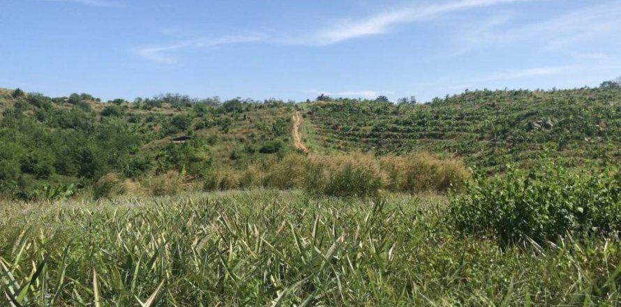 Terrain à Rayong, Thaïlande № 172825