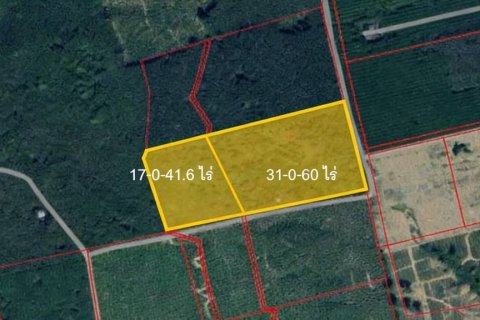 Terrain à Rayong, Thaïlande № 172825 - photo 4