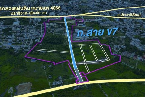 Земельный участок в Су-нгай Колоке, Таиланд 12800м2  № 158096 - фото 6