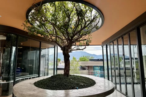 Квартира в Пхукете, Таиланд с 2 спальнями  № 117088 - фото 22