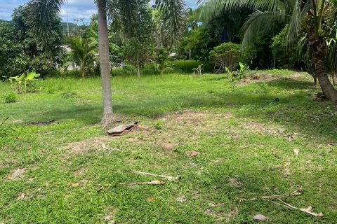 Terrain à Pa Klok, Thaïlande 1234 m2 № 135477 - photo 6